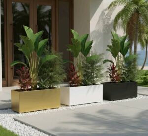 WhatsApp Image 2026-03-18 at 1.44.15 PM (1)