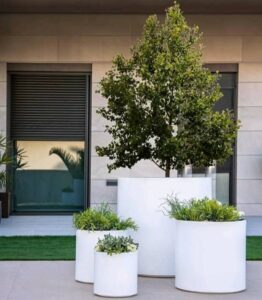 WhatsApp Image 2026-03-18 at 1.44.15 PM (2)