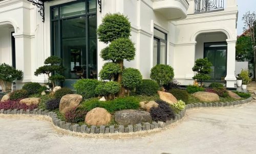 WhatsApp Image 2026-03-18 at 1.44.04 PM