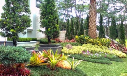 WhatsApp Image 2026-03-18 at 1.44.05 PM (1)