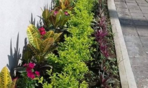 WhatsApp Image 2026-03-18 at 1.44.06 PM (1)